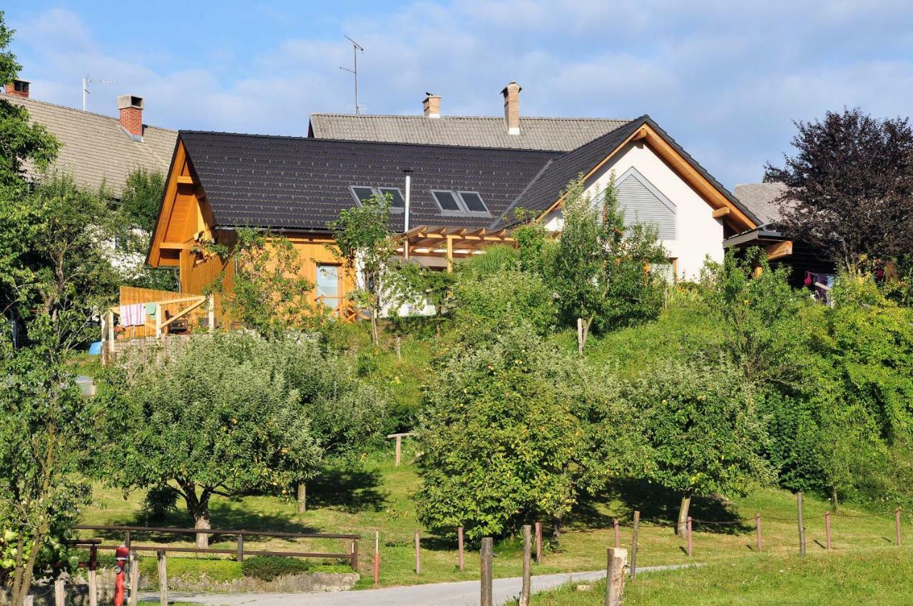 Apartma Rosa Spodnji Otok Экстерьер фото